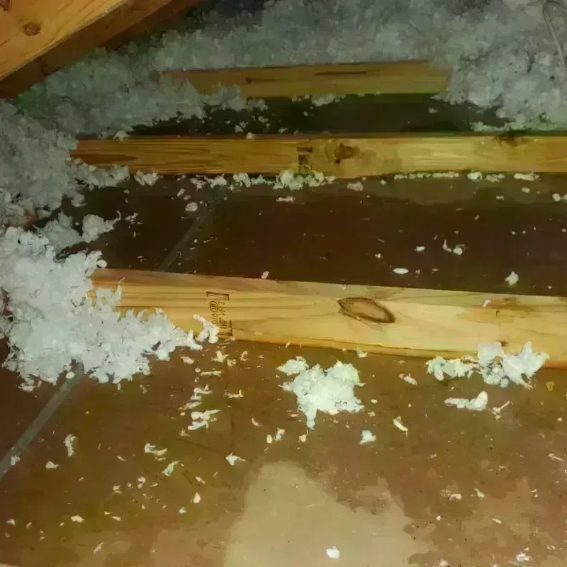 Attic Water Damage in Washington County, KS