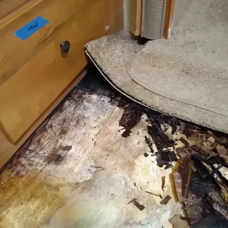 Wood Floor Water Damage in Washington County, KS